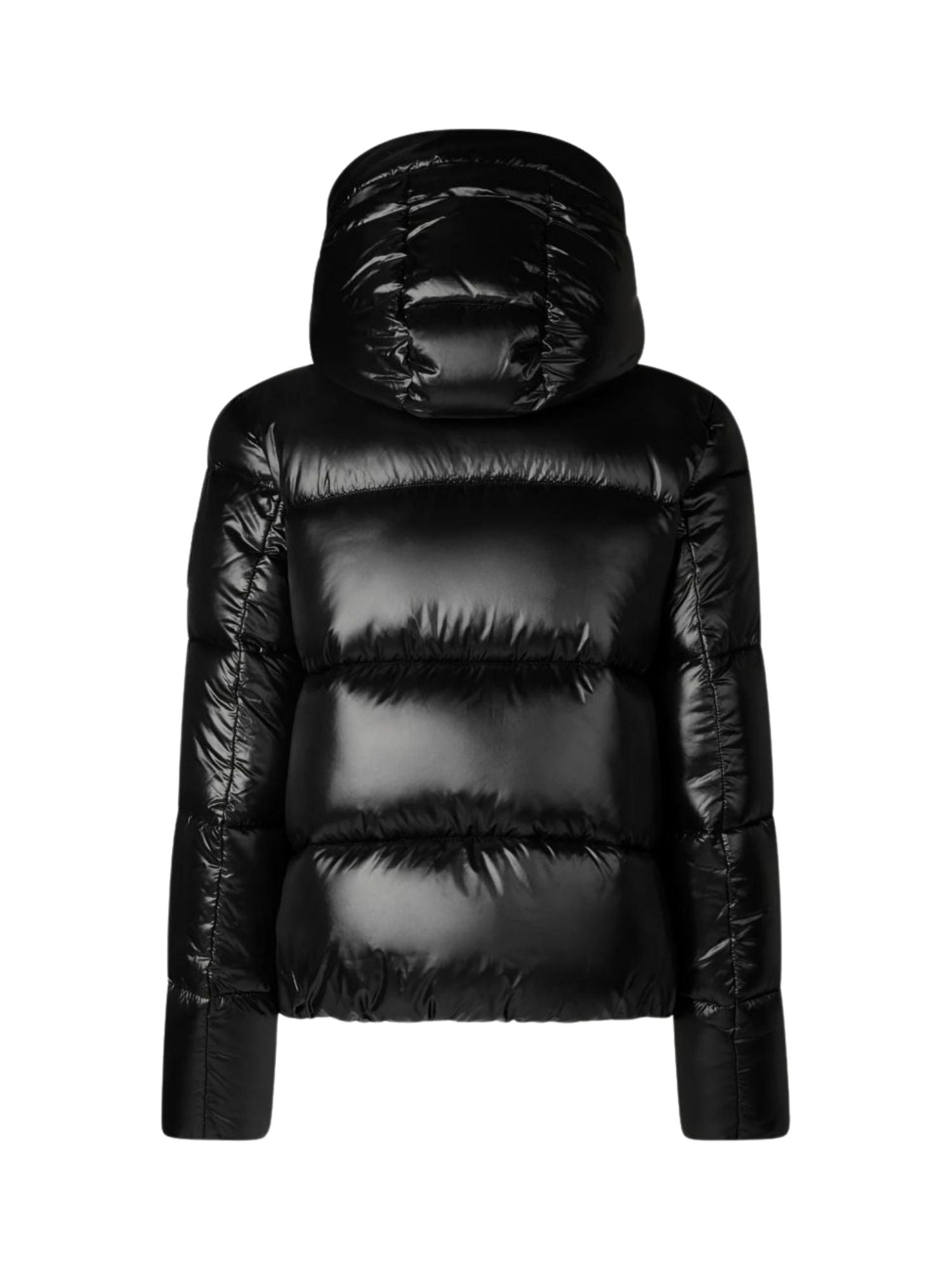 d31989w - Giubbino - SAVE THE DUCK