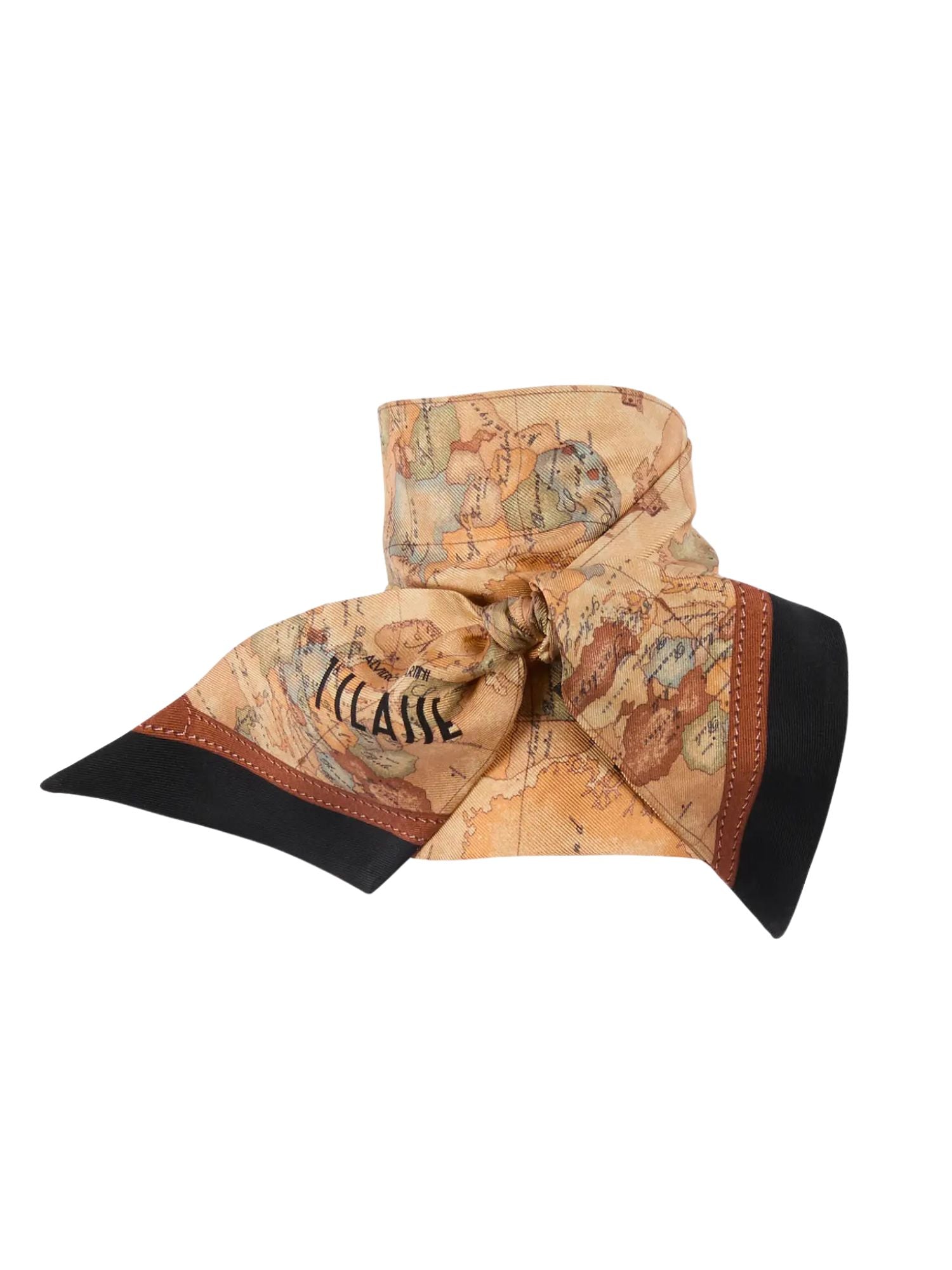 F106ALOE - bandeau - ALVIERO MARTINI