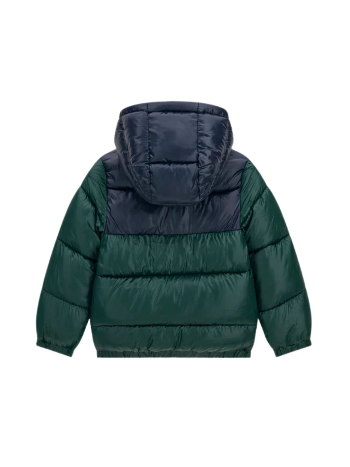 N6YL01W2656 - Giubbino - Guess Kids