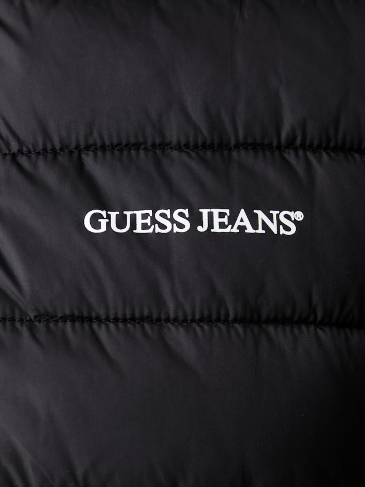 W6YL09W2799 - Giubbino - GUESS JEANS