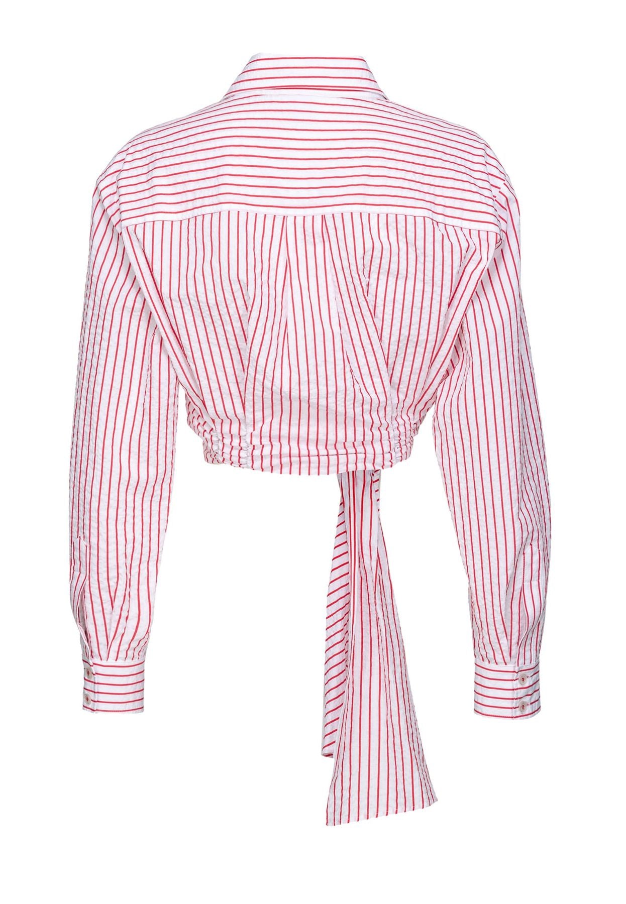 103061a1o9 - camicia - pinko